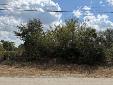 Lehigh Acres Area Lot For Sale in Lehigh Acres Florida