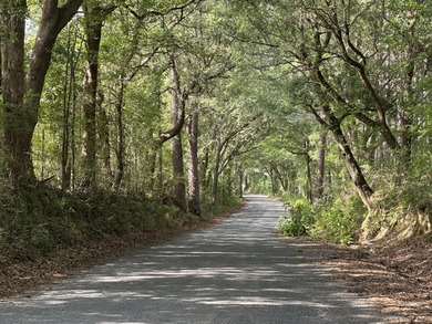 (private lake, pond, creek) Acreage Sale Pending in Baker Florida