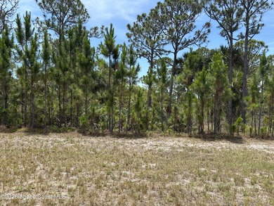 VACANT LAND = Build your New Home = In Desirable Deed Restricted - photo 3