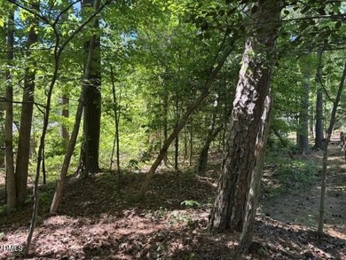 This 0.23-acre custom home lot is located in the Laurel Thicket - photo 3