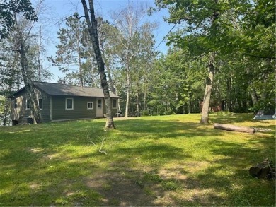 Vanduse Lake  Home For Sale in Ball Bluff Twp Minnesota