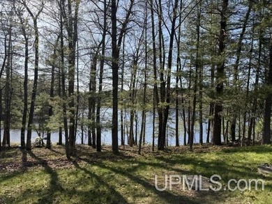 Merriman Lake - Tucked away near the end of a private road, this - photo 34