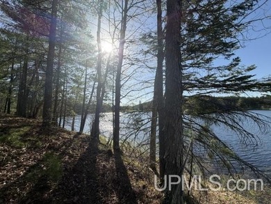 Merriman Lake - Tucked away near the end of a private road, this - photo 38