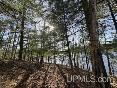 Merriman Lake - Tucked away near the end of a private road, this - photo 40