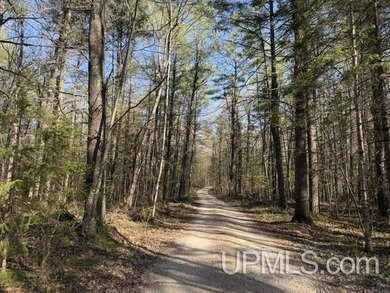 Merriman Lake - Tucked away near the end of a private road, this - photo 45