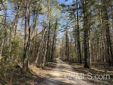 Merriman Lake - Tucked away near the end of a private road, this - photo 49