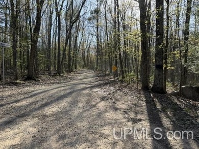 Merriman Lake - Tucked away near the end of a private road, this - photo 50