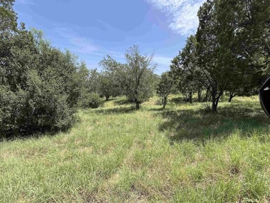 Excellent buildable homesite in desirable Horseshoe Bay West! - photo 2