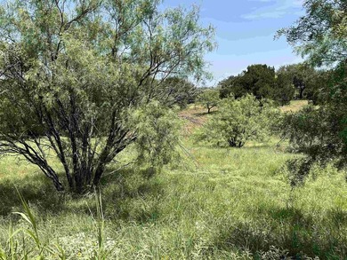 Excellent buildable homesite in desirable Horseshoe Bay West! - photo 3