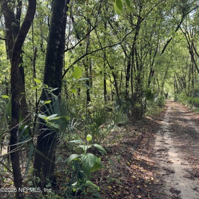 Lake Keuka Lot For Sale in Interlachen Florida