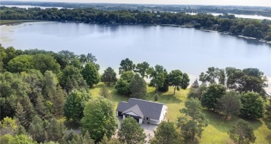 Lake Home For Sale in Dassel Twp, Minnesota