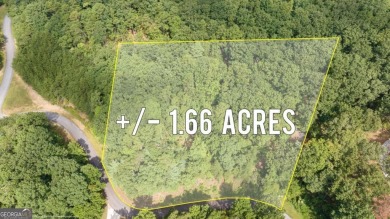 Golden Lake  Lot For Sale in Clarkesville Georgia