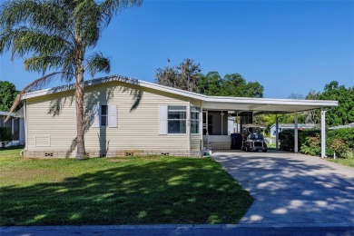 Lake Harris Home Sale Pending in Tavares Florida