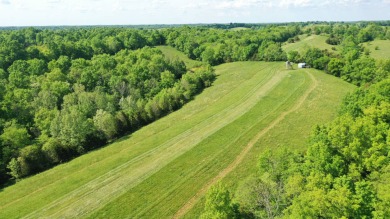 Lake Acreage Off Market in Willisburg, Kentucky