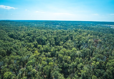 (private lake, pond, creek) Acreage For Sale in Salem Missouri