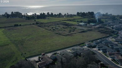 Oceanview living in a gated community. End of the road privacy - photo 28
