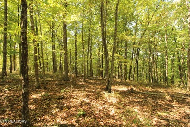 Lake Dartmoor Lot For Sale in Fairfield Glade Tennessee