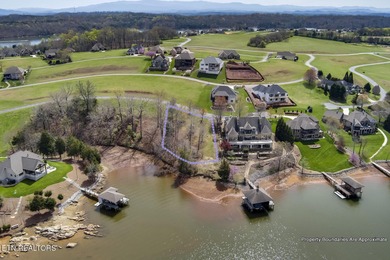 ONE OF THE LAST AVAILABLE gently-sloped LAKEFRONT LOTS left in