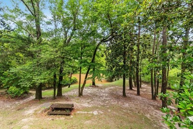 RIVERFRONT CAMP ON THE WOLF RIVER! Wake up to the sights and - photo 17