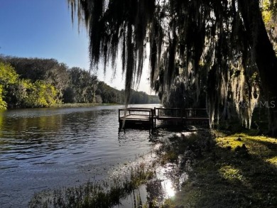 Lake Panasoffkee Home For Sale in Lake Panasoffkee Florida
