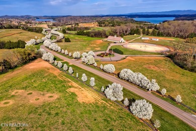 ONE OF THE LAST AVAILABLE gently-sloped LAKEFRONT LOTS left in