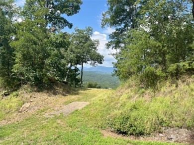 Huge 180-degree panoramic mountain views overlooking Lake Lure - photo 6