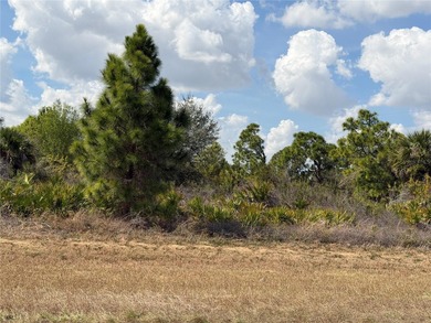 Lehigh Acres Area Lot For Sale in Lehigh Acres Florida