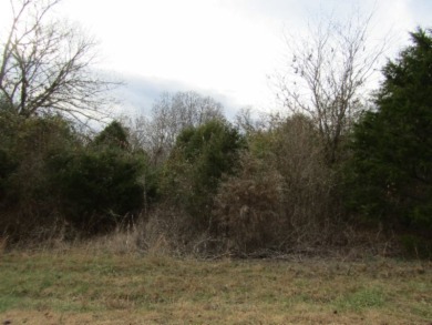 HIDDEN RIVER ESTATES W/ ACCESS TO CANEY FORK RIVER - Lake Acreage For Sale in Sparta, Tennessee