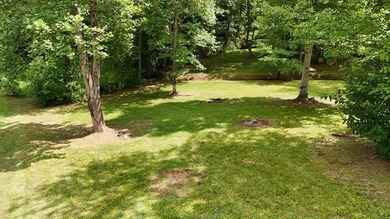 This lot provides an excellent opportunity for mountain living - photo 13