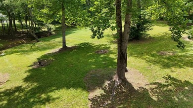 This lot provides an excellent opportunity for mountain living - photo 14