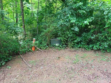 This lot provides an excellent opportunity for mountain living - photo 15
