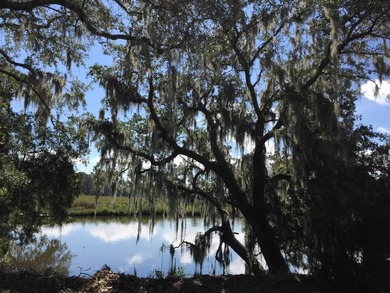Tucked beneath a canopy of magnificent live oaks in Charleston's - photo 25