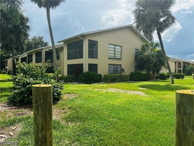 Gulf Access condo in beautiful area, well maintained complex - photo 34