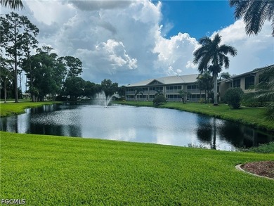 Gulf Access condo in beautiful area, well maintained complex - photo 38