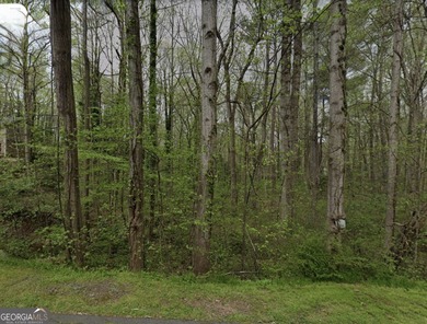 (private lake, pond, coastal) Lot For Sale in Acworth Georgia