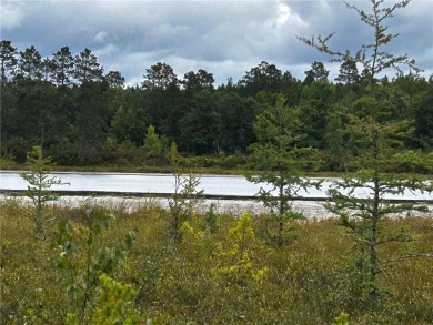 (private lake, pond, creek) Acreage For Sale in Hackensack Minnesota