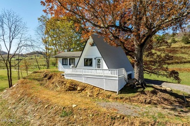 TWO NEWLY REMODELED HOMES FOR THE PRICE OF ONE! FIREPLACE - photo 3