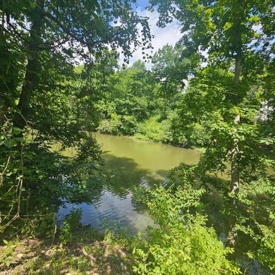 Looking for a spacious 4 bedroom 3.5 bathroom home with a full - photo 38