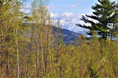 Hebron , Outstanding investment opportunity .If you are looking - photo 2