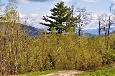 Hebron , Outstanding investment opportunity .If you are looking - photo 3