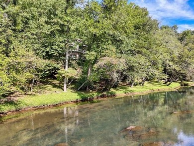 *BEST KEPT SECRET IN THE CAROLINA'S* An Angler's Paradise. 4 - photo 56