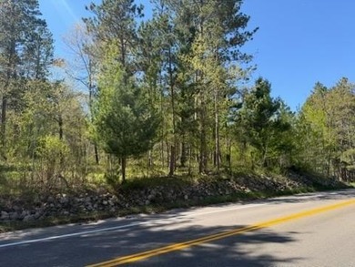 Level 1 acre lot with deeded access to the Gull Lake Chain with - photo 1
