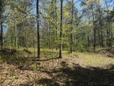 Level 1 acre lot with deeded access to the Gull Lake Chain with - photo 2