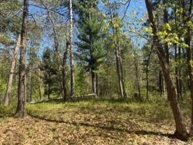 Level 1 acre lot with deeded access to the Gull Lake Chain with - photo 3