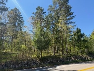 Level 1 acre lot with deeded access to the Gull Lake Chain with - photo 4