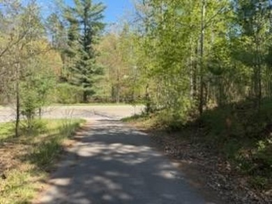 Level 1 acre lot with deeded access to the Gull Lake Chain with - photo 5