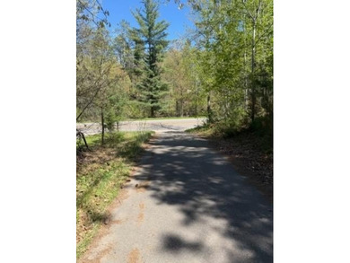 Level 1 acre lot with deeded access to the Gull Lake Chain with - photo 7