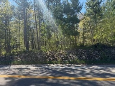 Level 1 acre lot with deeded access to the Gull Lake Chain with - photo 8