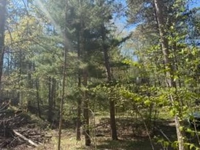 Level 1 acre lot with deeded access to the Gull Lake Chain with - photo 9