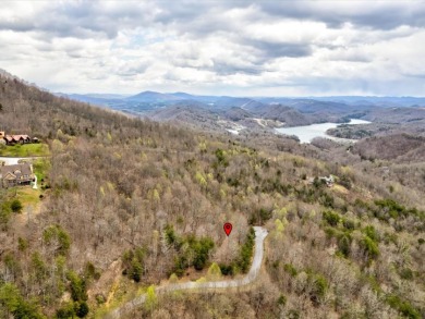 Lake Lot SOLD! in New Tazewell, Tennessee
